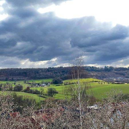 Ferienwohnung Balkonblick Am Hirschberg Sankt Wendel Bagian luar foto